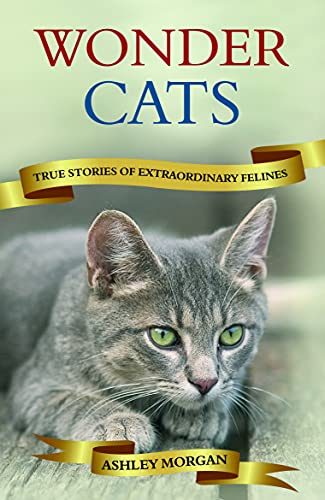 Wonder Cats: True Stories Of Extraordinary Felines