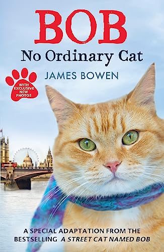 Bob: No Ordinary Cat