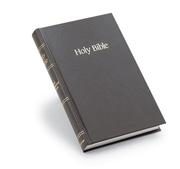 Holy Bible: New International Version