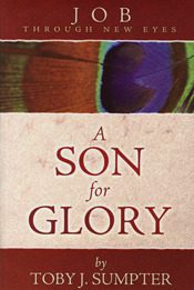 A Son For Glory: Job Through New Eyes