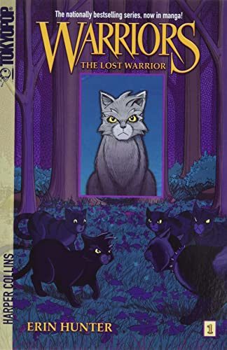 The Lost Warrior