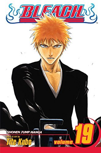 Bleach, Volume 19