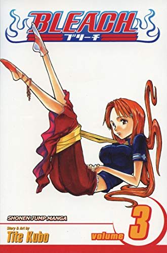 Bleach, Volume 03