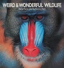 Weird & Wonderful Wildlife