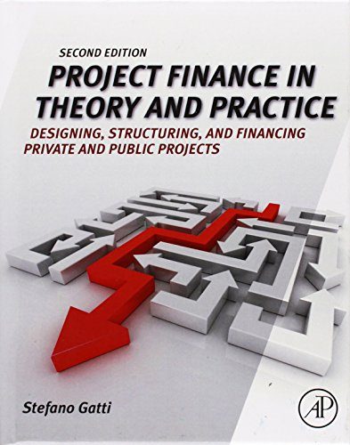 Project Finance in Theory and Practice, Second Edition: Designing, Structuring, and Financing Private and Public Projects