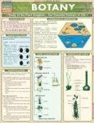 Botany (Quickstudy: Academic)