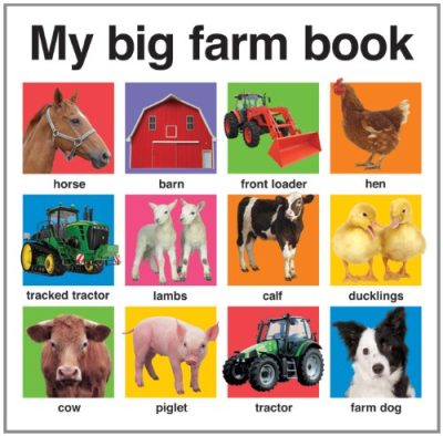 My Big Farm Book (My Big Board Books)
