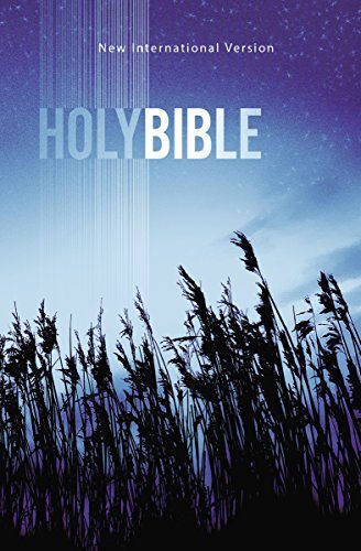 NIV Outreach Bible