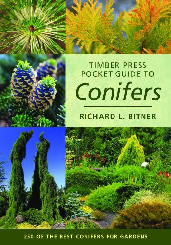 Timber Press Pocket Guide to Conifers (Timber Press Pocket Guides)