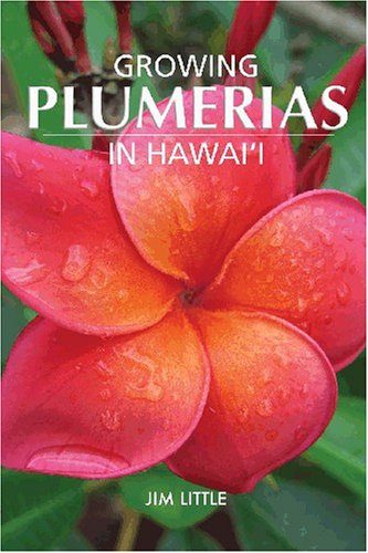 Growing Plumerias in Hawaii