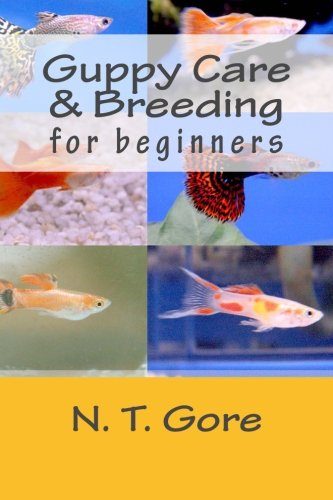 Guppy Care & Breeding for Beginners