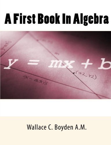 A First Book In Algebra
