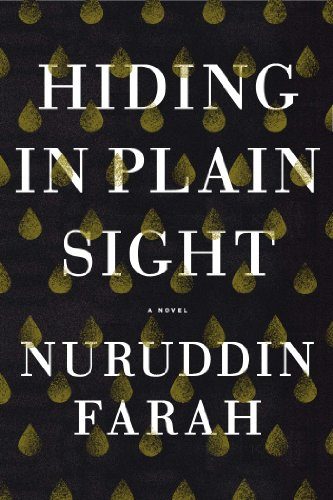 Hiding in Plain Sight: A Novel