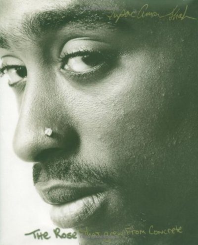 The Rose That Grew from Concrete