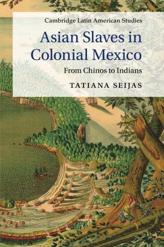Asian Slaves in Colonial Mexico: From Chinos to Indians (Cambridge Latin American Studies)
