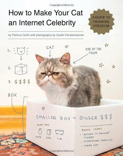 How to Make Your Cat an Internet Celebrity: A Guide to Financial Freedom