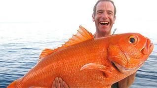 Extreme Fishing