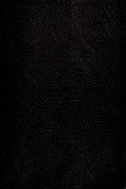 Life Application Study Bible: NIV