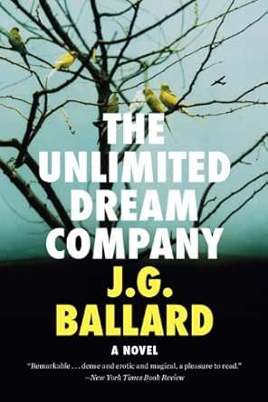 The Unlimited Dream Company